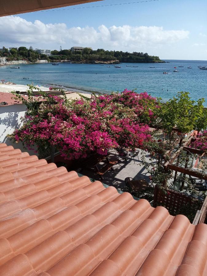 Buganvilla Sea View Apts อาเยีย เปลาเยีย ภายนอก รูปภาพ